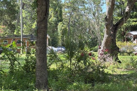 Commercial property in Hudson, Florida 12 bedrooms, 395.39 sq.m. № 2202241 - photo 5