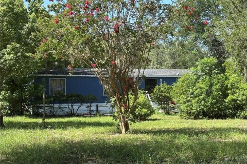 Commercial property in Hudson, Florida 12 bedrooms, 395.39 sq.m. № 2202241 - photo 6