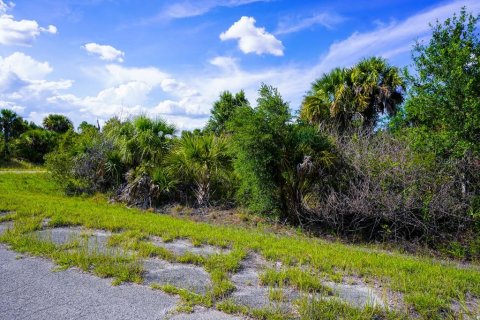 Land in North Port, Florida № 2160751 - photo 13