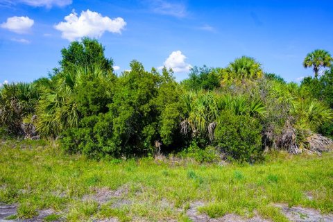 Land in North Port, Florida № 2160751 - photo 17