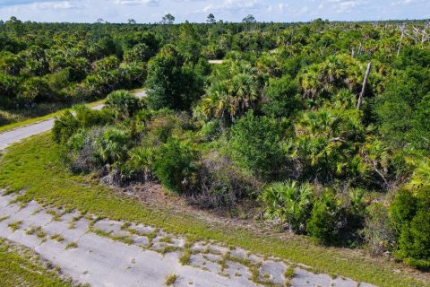 Land in North Port, Florida № 2160751 - photo 11