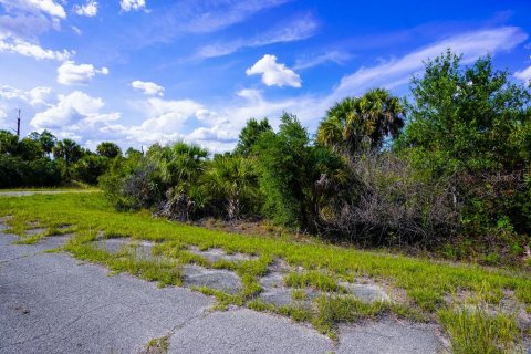 Land in North Port, Florida № 2160751 - photo 12