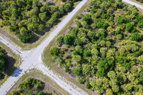 Land in North Port, Florida № 2160751 - photo 8