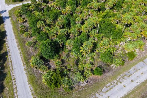 Land in North Port, Florida № 2160751 - photo 5