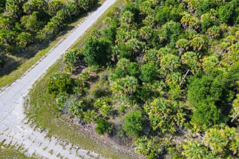 Land in North Port, Florida № 2160751 - photo 9