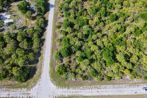 Land in North Port, Florida № 2160751 - photo 7