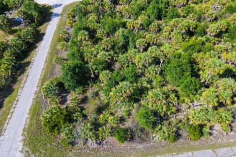 Land in North Port, Florida № 2160751 - photo 4