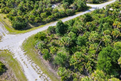 Land in North Port, Florida № 2160751 - photo 3