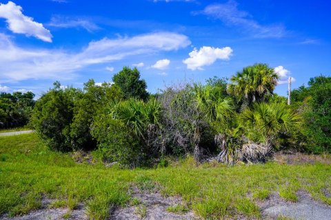 Land in North Port, Florida № 2160751 - photo 16
