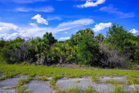 Land in North Port, Florida № 2160751 - photo 14