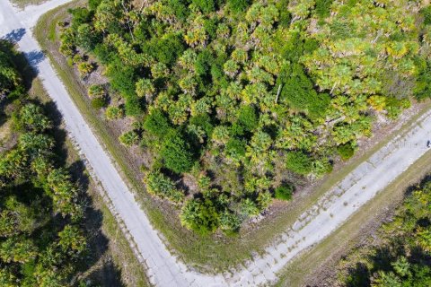 Land in North Port, Florida № 2160751 - photo 6