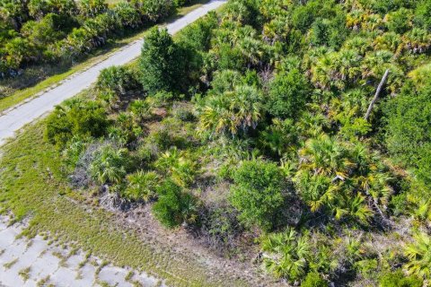 Land in North Port, Florida № 2160751 - photo 10