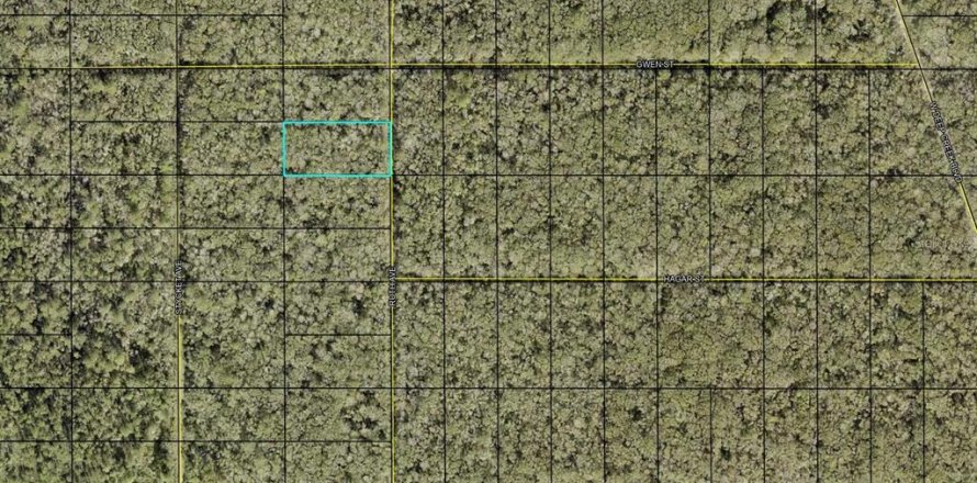 Land in Hastings, Florida № 2165273
