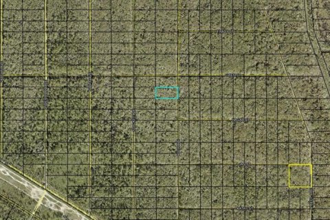 Land in Hastings, Florida № 2165273 - photo 3