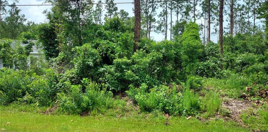Terrain à Palm Coast, Floride № 1773839