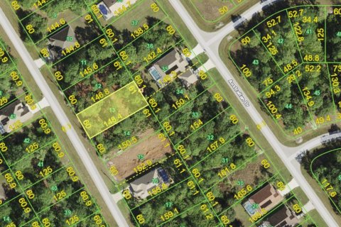 Land in Rotonda, Florida № 2159866 - photo 2