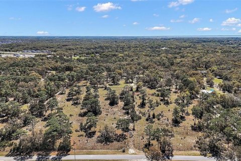 Land in Apopka, Florida № 2108536