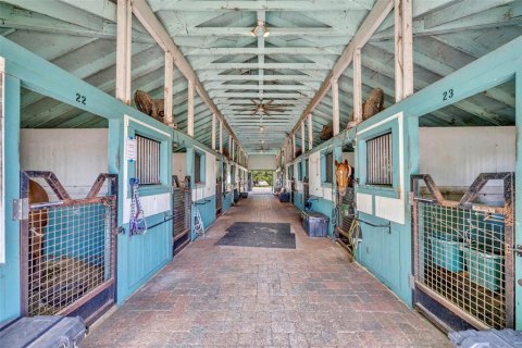 Commercial property in Geneva, Florida 377.74 sq.m. № 2103736 - photo 11