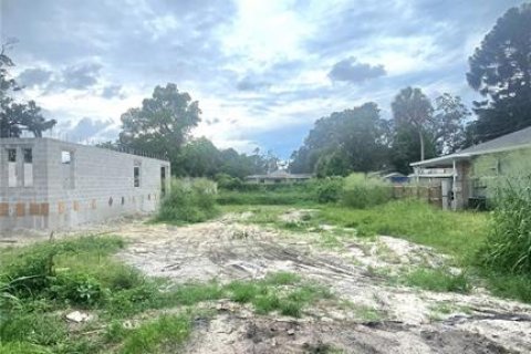 Terreno en venta en Tampa, Florida № 1913016 - foto 1