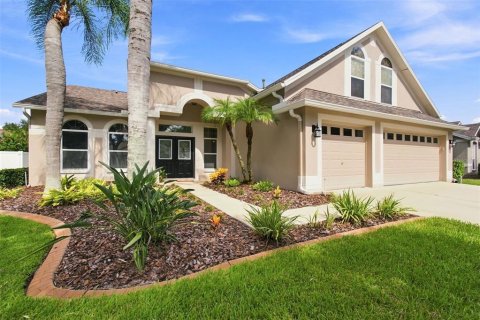 Villa ou maison à Tampa, Floride 4 chambres, 255.2 m2 № 2313490
