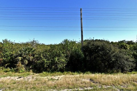 Immobilier commercial à vendre à St. Lucie, Floride № 2182731 - photo 3