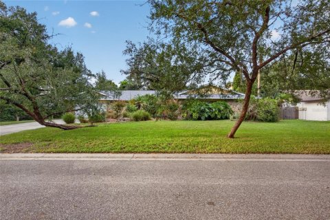 Villa ou maison à vendre à Temple Terrace, Floride: 4 chambres, 273.97 m2 № 2396960 - photo 3