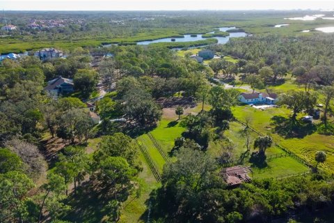 Terreno en venta en Tampa, Florida № 1720735 - foto 6