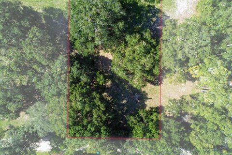 Land in High Springs, Florida № 2369037