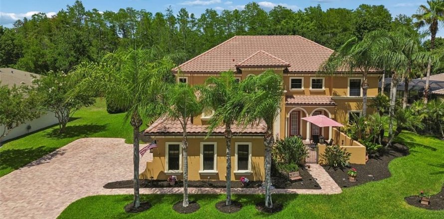 House in Land O' Lakes, Florida 6 bedrooms, 399.48 sq.m. № 2130971