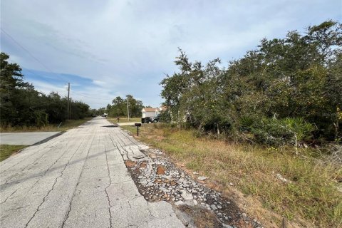 Land in Kissimmee, Florida № 2163601 - photo 2