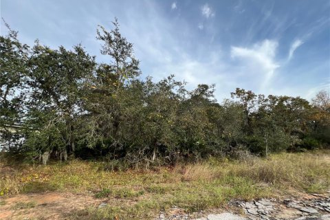 Land in Kissimmee, Florida № 2163601