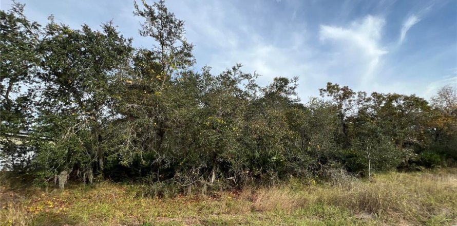 Land in Kissimmee, Florida № 2163601