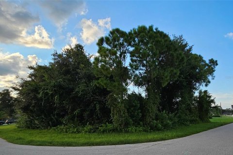 Land in Punta Gorda, Florida № 2232689