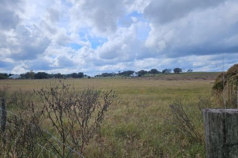 Land in Brooksville, Florida № 1613635 - photo 3