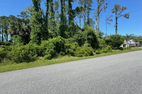 Land in Palm Coast, Florida № 1142750 - photo 1