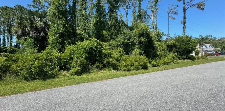 Land in Palm Coast, Florida № 1142750