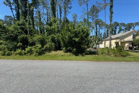 Land in Palm Coast, Florida № 1142750 - photo 10