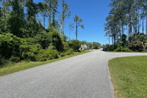 Land in Palm Coast, Florida № 1142750 - photo 6