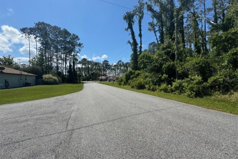 Land in Palm Coast, Florida № 1142750 - photo 9