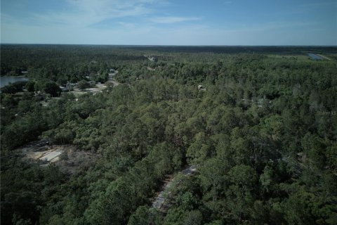 Terreno en venta en Ocklawaha, Florida № 2221218 - foto 12