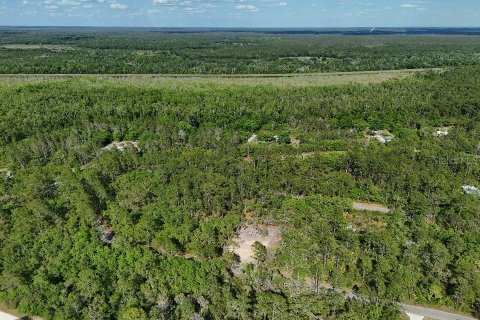 Terreno en venta en Ocklawaha, Florida № 2221218 - foto 6