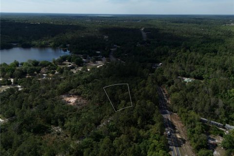 Terreno en venta en Ocklawaha, Florida № 2221218 - foto 2