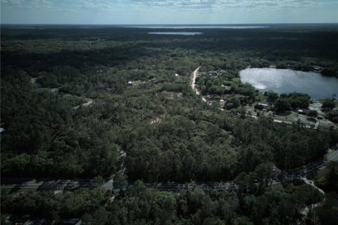 Terreno en venta en Ocklawaha, Florida № 2221218 - foto 4