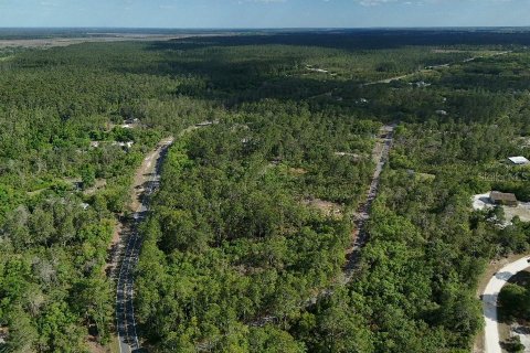 Terreno en venta en Ocklawaha, Florida № 2221218 - foto 5