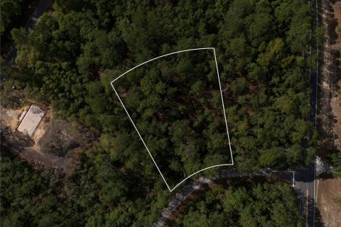 Terreno en Ocklawaha, Florida № 2221218