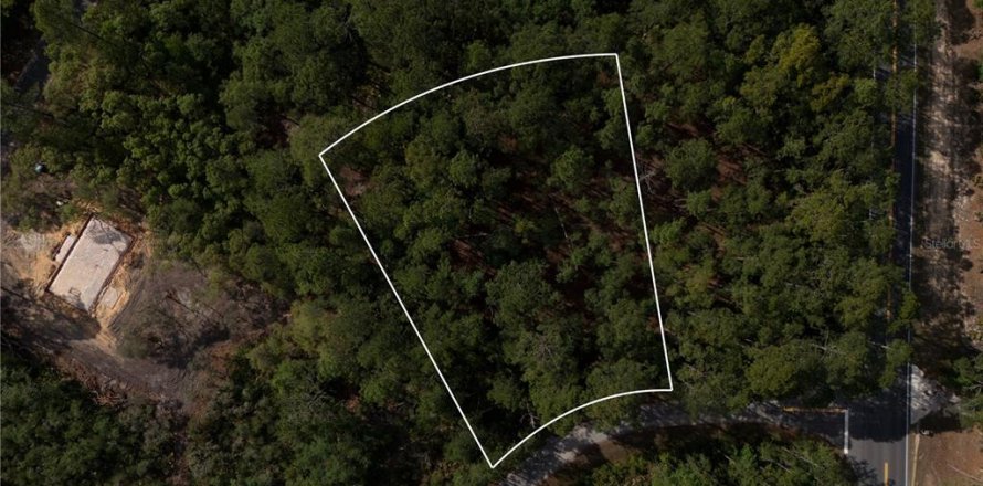 Terreno en Ocklawaha, Florida № 2221218
