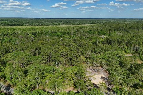Terreno en venta en Ocklawaha, Florida № 2221218 - foto 9