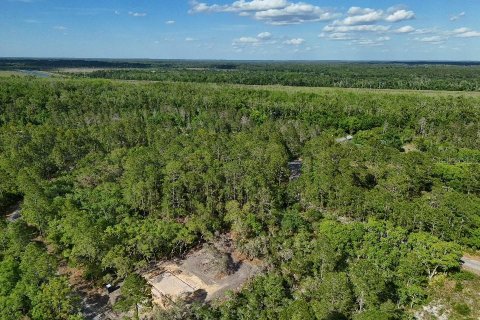 Terreno en venta en Ocklawaha, Florida № 2221218 - foto 10