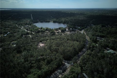 Terreno en venta en Ocklawaha, Florida № 2221218 - foto 3