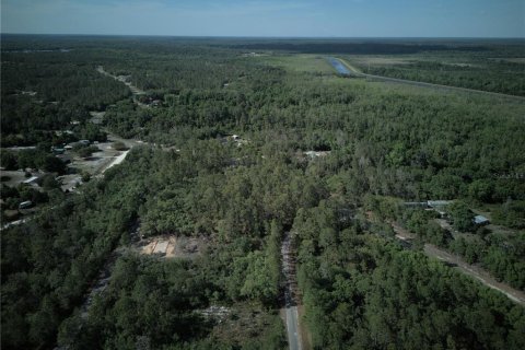 Terreno en venta en Ocklawaha, Florida № 2221218 - foto 7